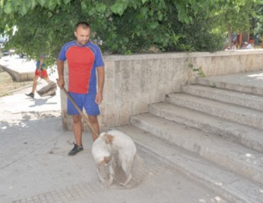 Au apărut deja anunţuri de job pentru 